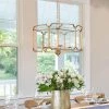 Modern Gold Drum Island Pendant Light Amelia 4-Light Brushed Gold Cage Dining Room Chandelier with Candle Style by Uolfin
