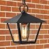 Farmhouse Black Outdoor Pendant Light, Jared 8.5 in. 1-Light Modern Cage Outdoor Ceiling Light with Seeded Glass Shade by Uolfin
