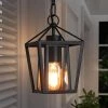 Modern Black Outdoor Pendant Light, Arie 1-Light Farmhouse Cage Outdoor Lantern Pendant Light with Clear Glass Shade by Uolfin